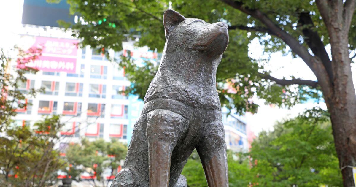 渋谷区で薬剤師求人が多いおすすめの転職サイト6選!失敗しない選び方