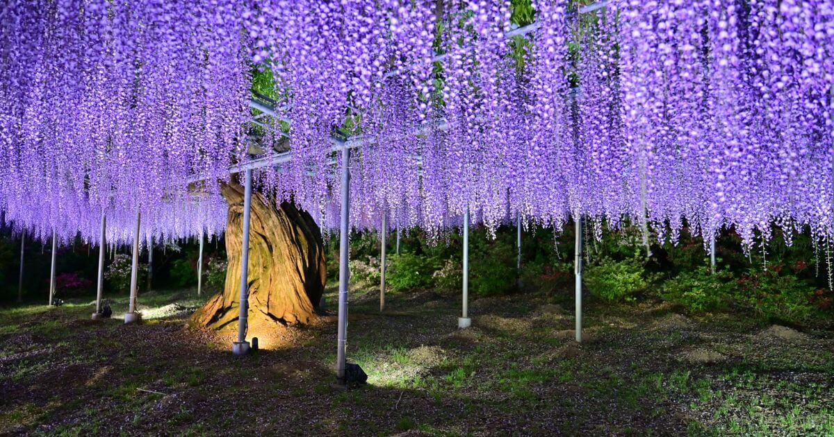 栃木県でおすすめの退職代行13選!料金やサービスの選び方を徹底解説