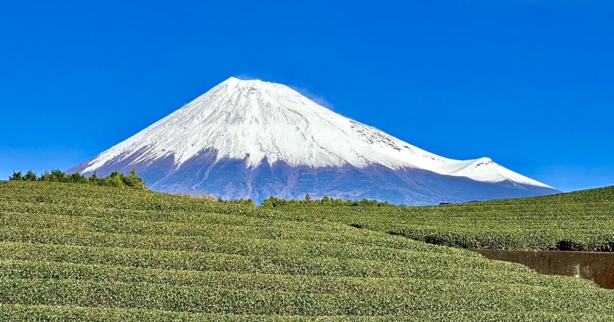 静岡県でおすすめの退職代行12選!サービスの選び方や特徴を解説