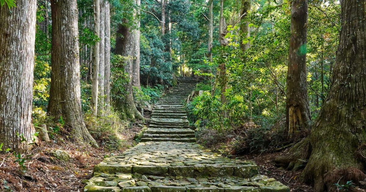 和歌山県でおすすめの退職代行サービス13選!選び方や注意点を解説