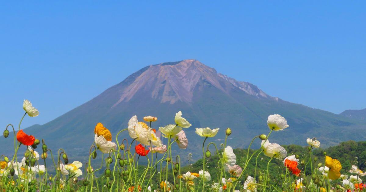 鳥取県でおすすめの退職代行サービス13選!費用や選び方の注意点